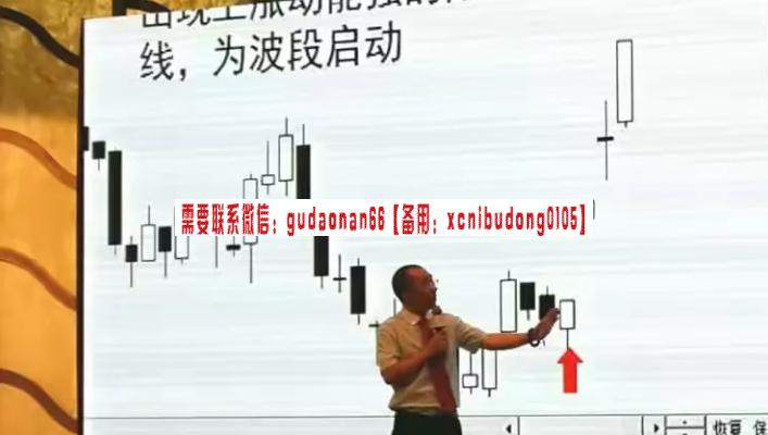 弘历投教赵伟2024年春季实战提高班