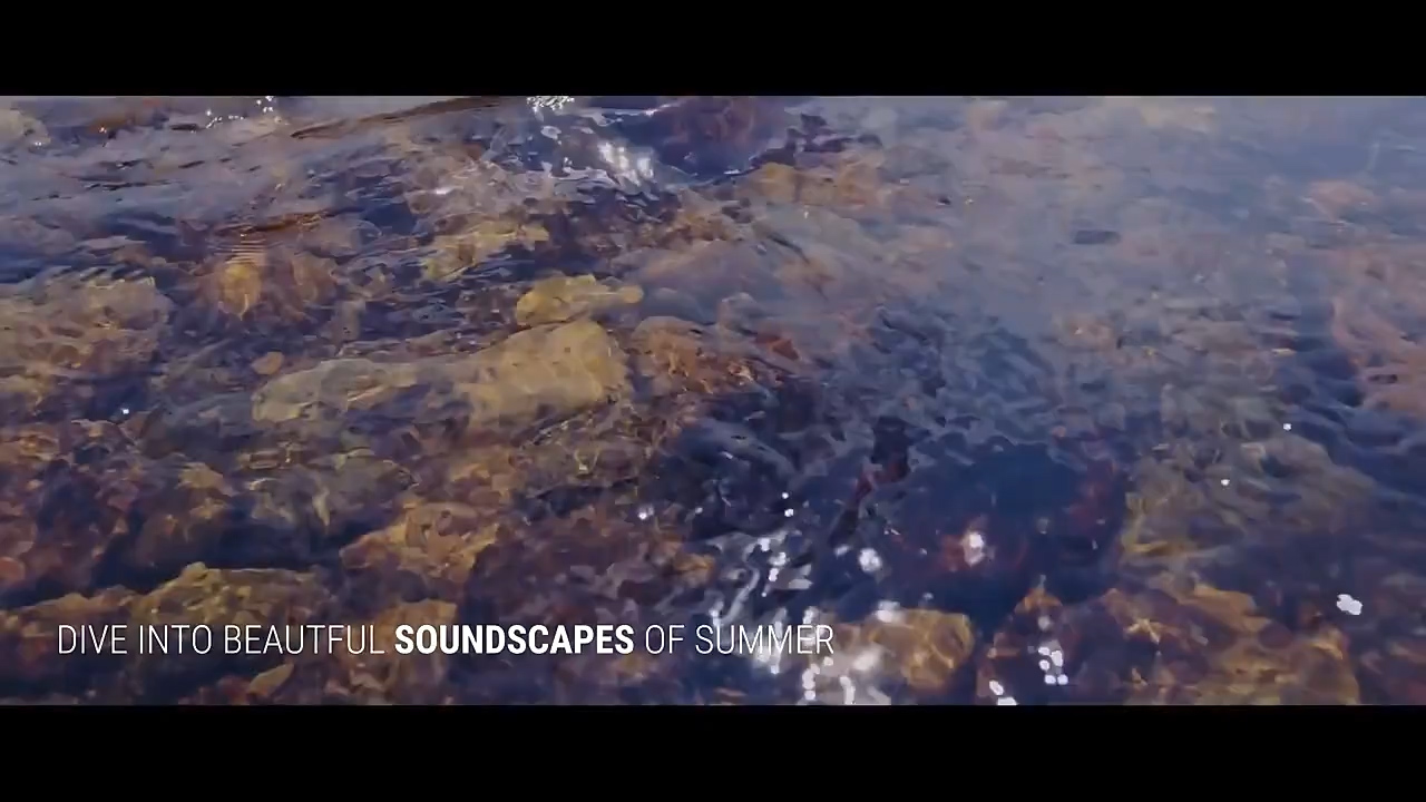 图片[1]预设吧-优质插件模板调色预设88组夏天宁静夏日季节大自然户外森林环境氛围无损背景音效预设吧-优质插件模板调色预设预设吧