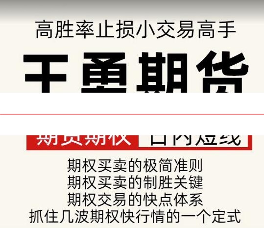 王勇期货期权日内短线培训课程 高胜率 止损小 交易高手