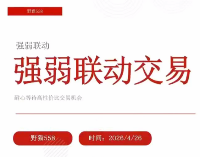 野猫558动量强弱联动交易二期
